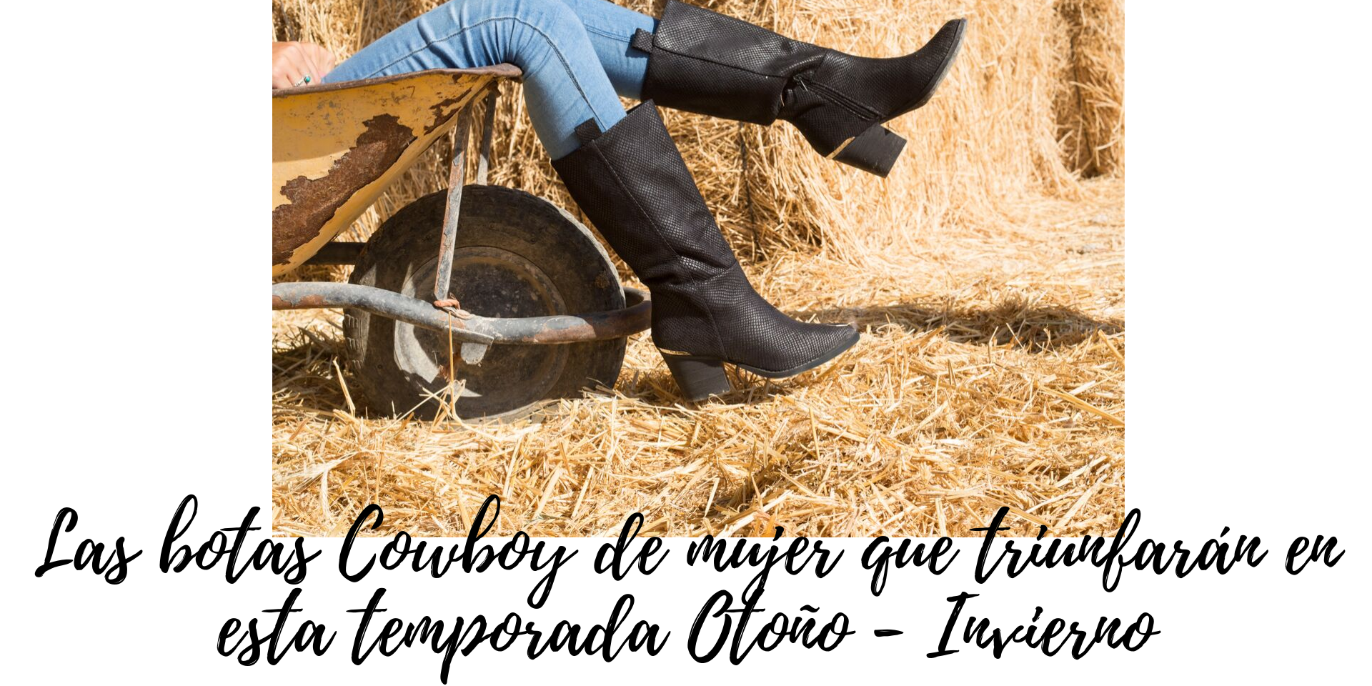 botas cowboy mujer botas cowboy mujer